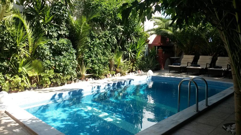 Danae Villa Fira  Dış mekan fotoğraf
